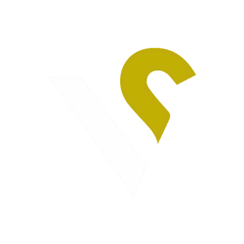 Vectors n' Scalars logo