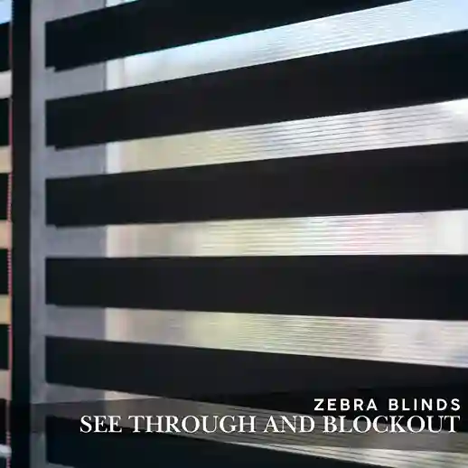 Zebra Blinds